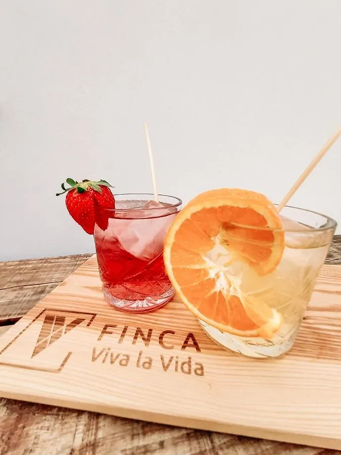 Finca Viva la Vida Álora